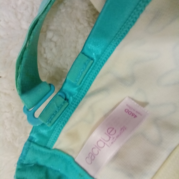 Cacique Bra - Picture 3 of 3